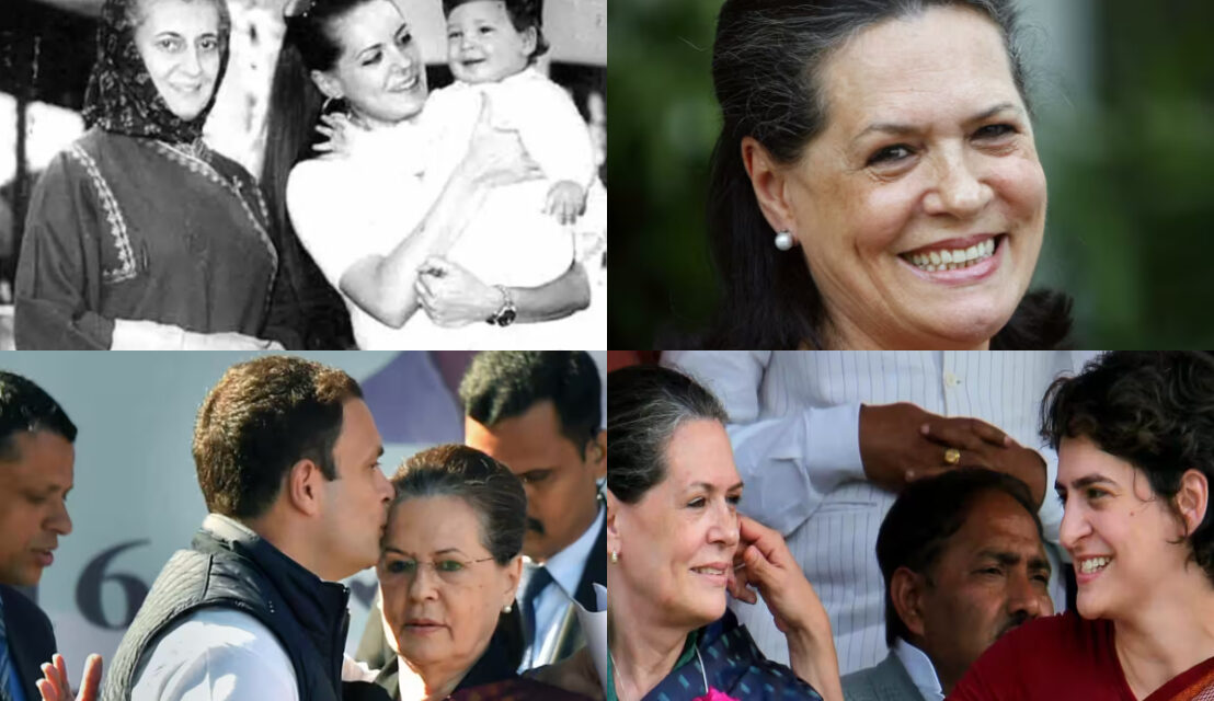 sonia gandhi loksabha career