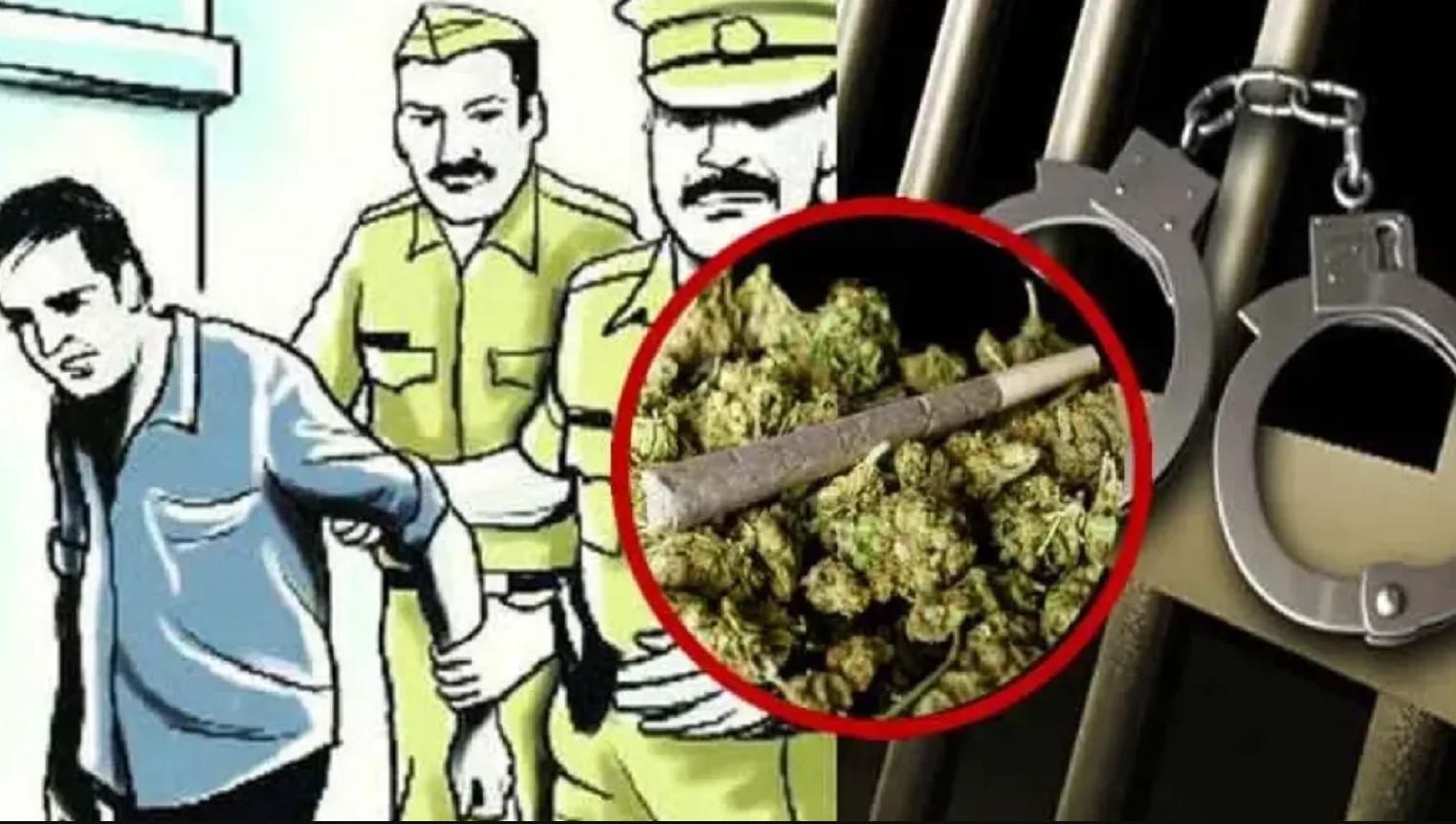 ganja crime news