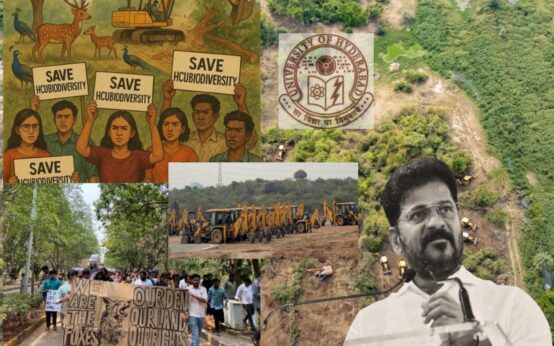 HCU vs revanth reddy