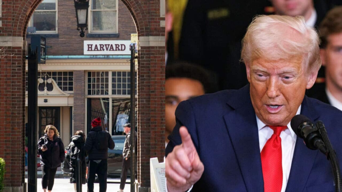 donald trump vs harvard university