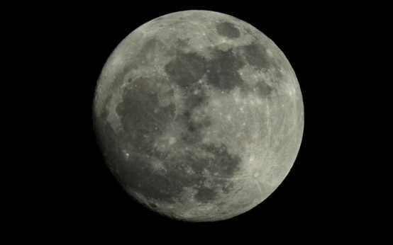 why is moon endangered site