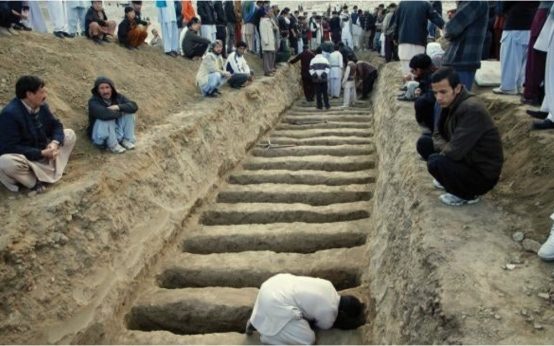 why are shias community targeted in pakistan