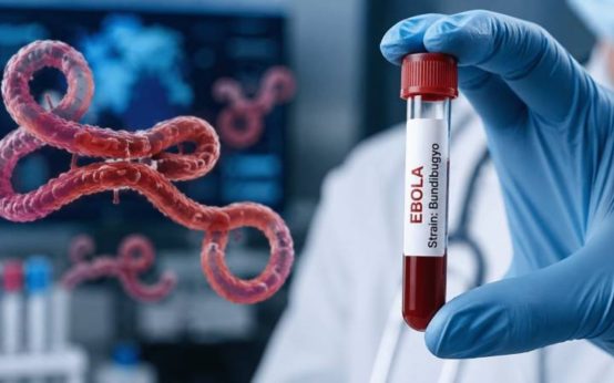 ebola virus explained